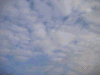 s_pict0005_thumb.png